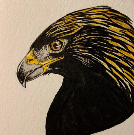 flat coloring traditional, pen