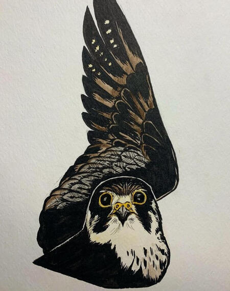 flat coloring traditional, pen and colored pencil