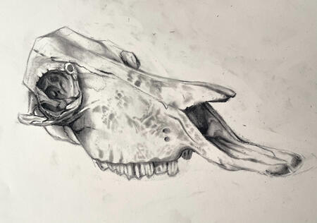 shaded coloring traditional, charcoal